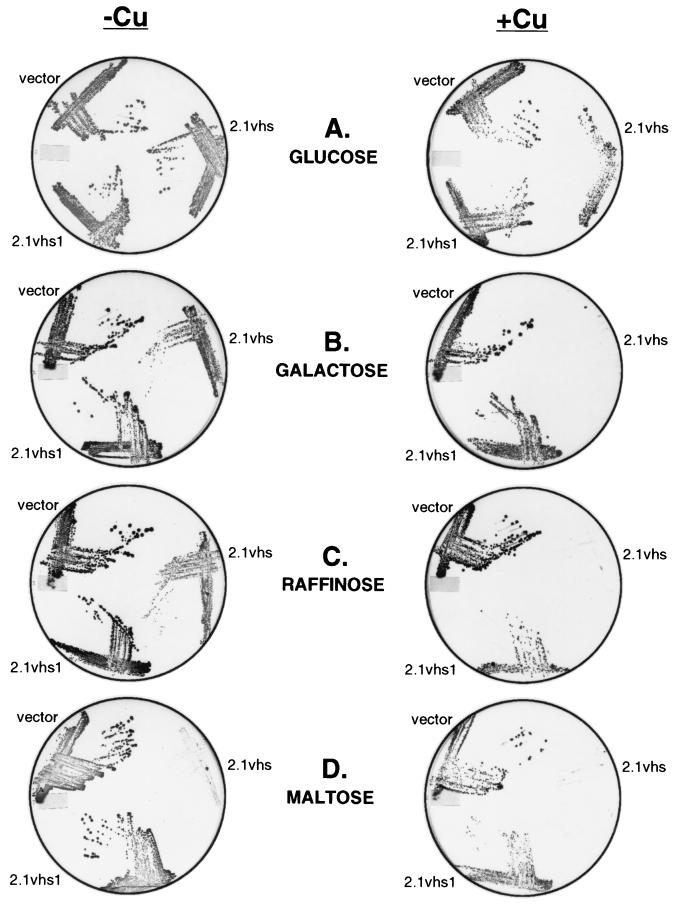 FIG. 5