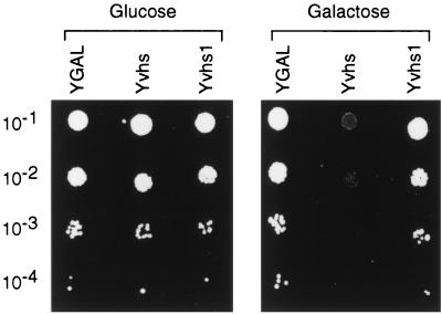 FIG. 1