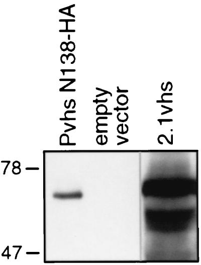 FIG. 8