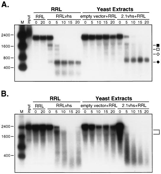 FIG. 11