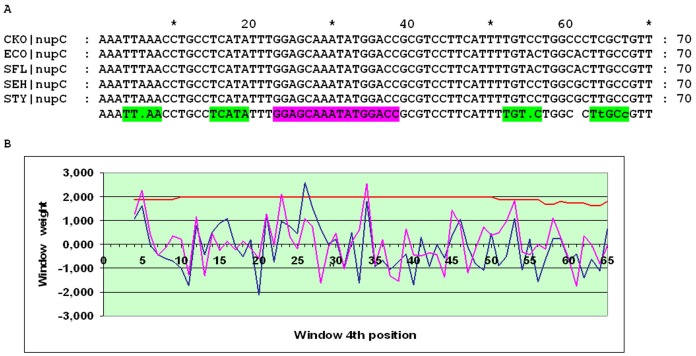 Figure 13