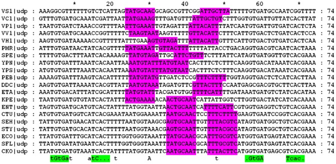 Figure 18