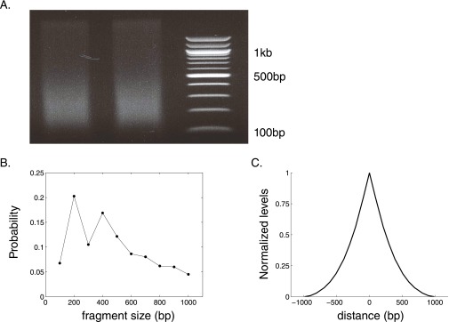 Fig. S3.