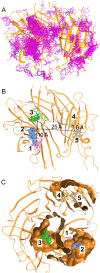 Fig. 1