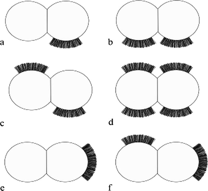 FIG. 2.