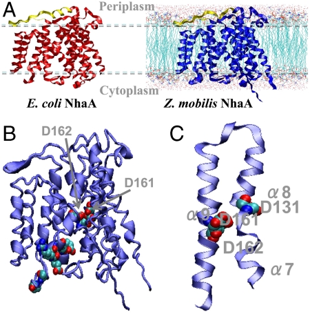 Fig. 4.