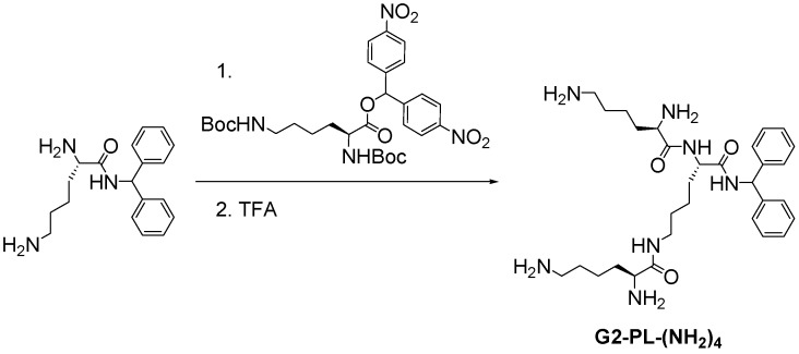 Scheme 3