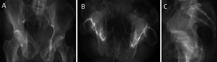 Fig. 5