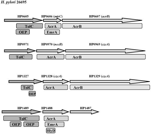 FIG. 1.