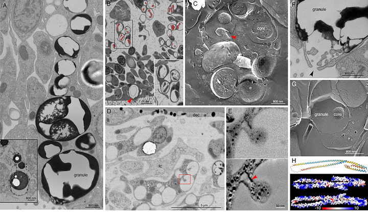 Fig 3.