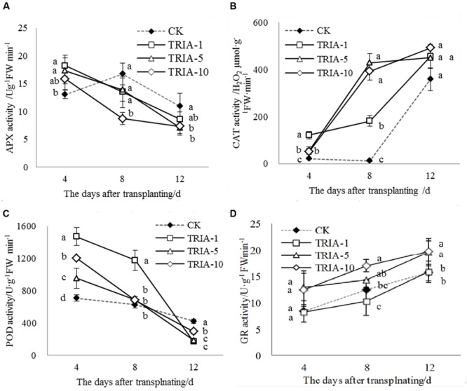 FIGURE 4