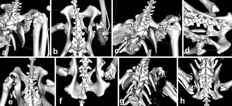 Fig. 1