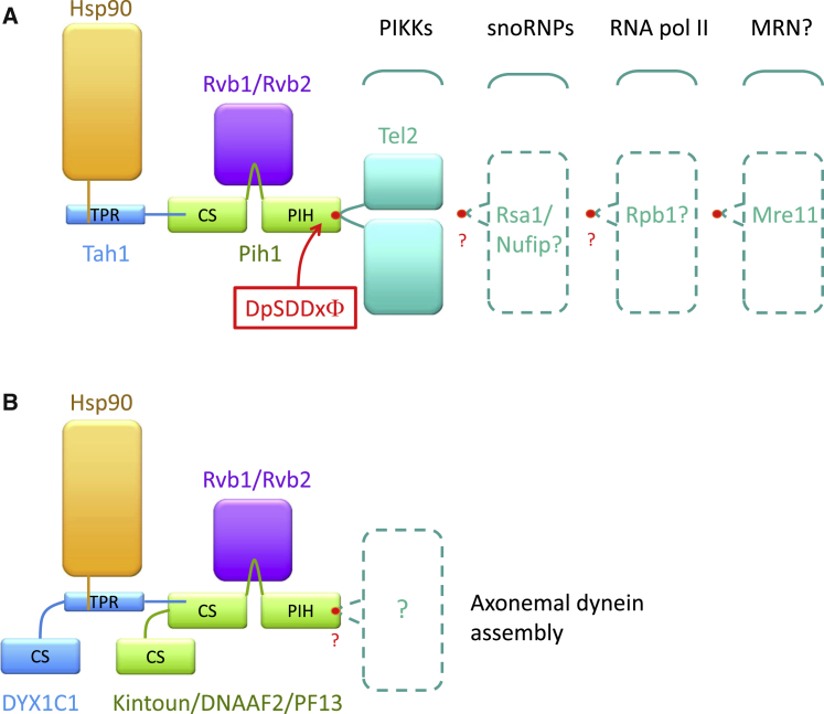 Figure 1