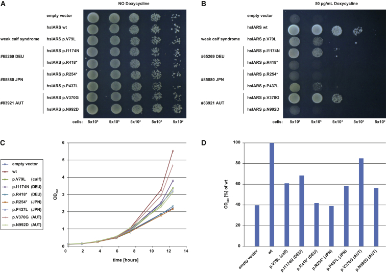 Figure 2