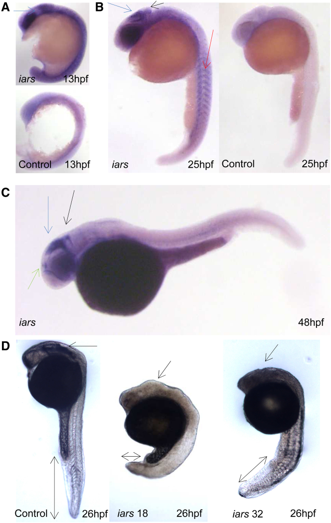 Figure 3