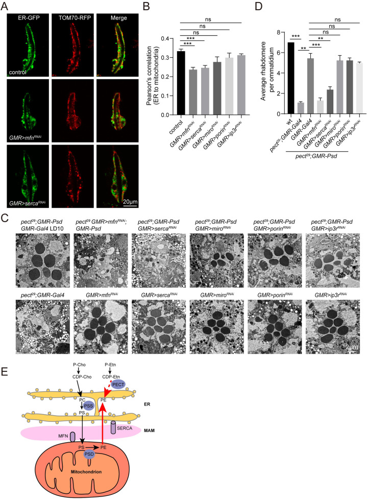 Fig 6