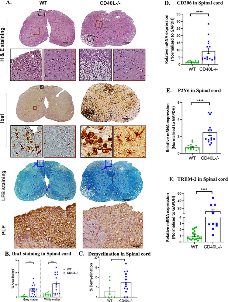 Fig 8