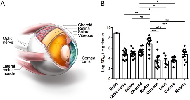 FIG 1