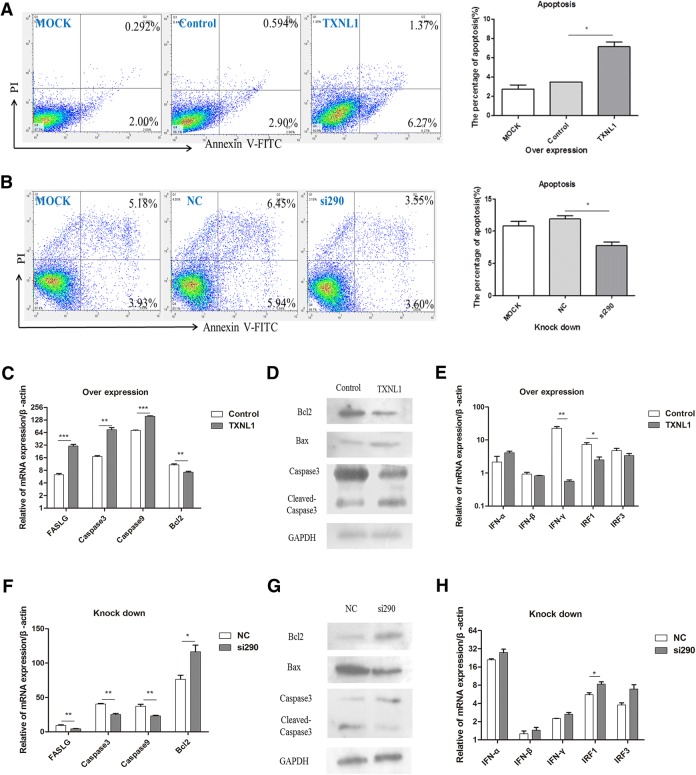 Figure 4