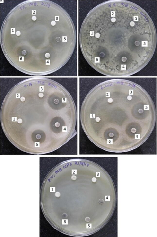 Fig. 13