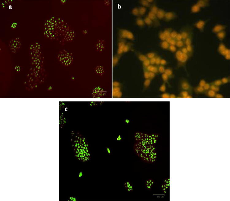 Fig. 19