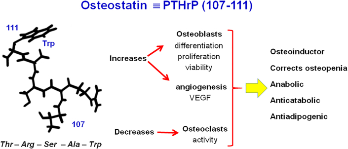 Fig. 12