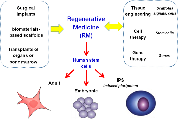 Fig. 1