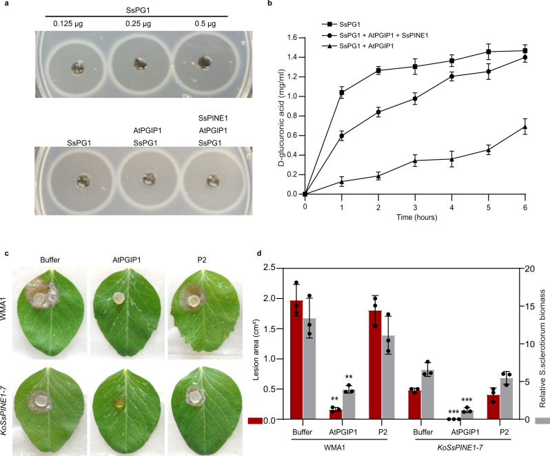 Fig. 4