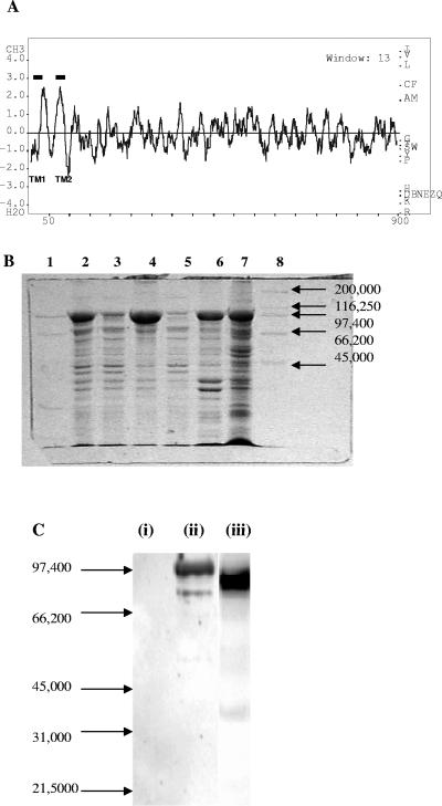 FIG. 3.