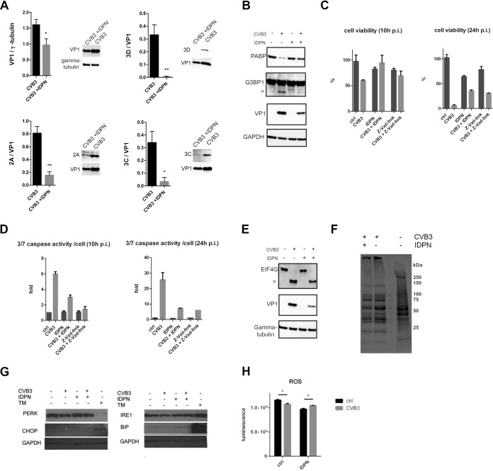 FIG 6