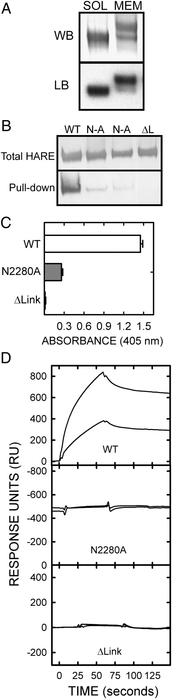 Fig. 6