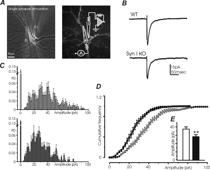 Figure 9.