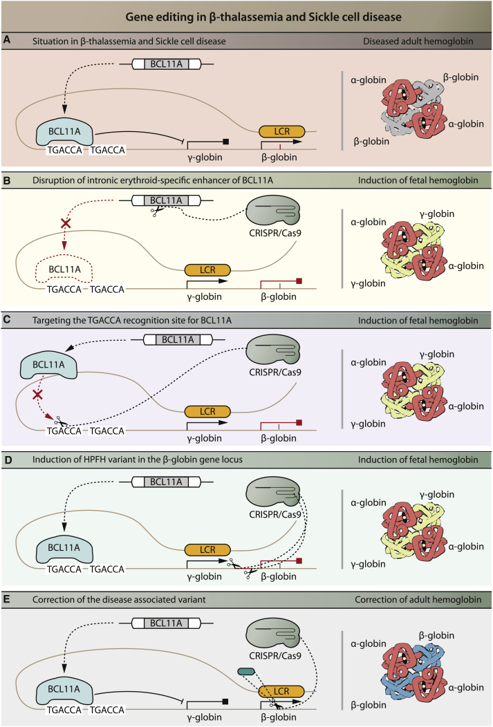 Figure 3