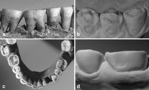 Fig. 3