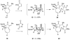 Scheme 3