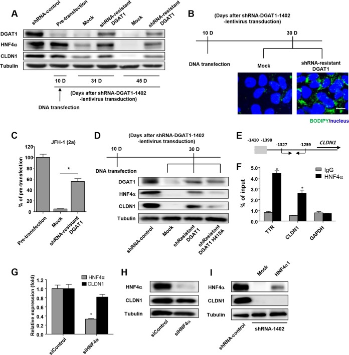 FIG 6