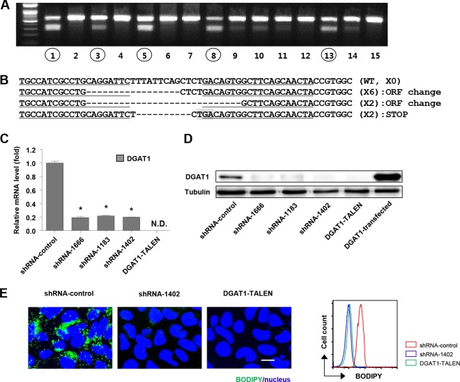 FIG 1