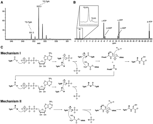 Figure 2 ∣