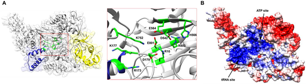 Figure 4 ∣