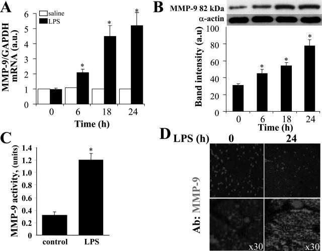 Figure 4-7047