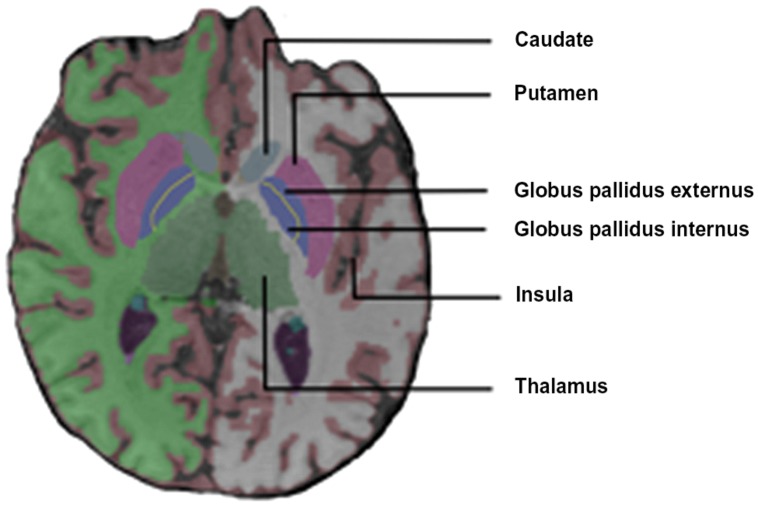 FIGURE 2