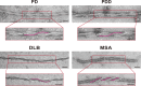 Figure 5—figure supplement 1.