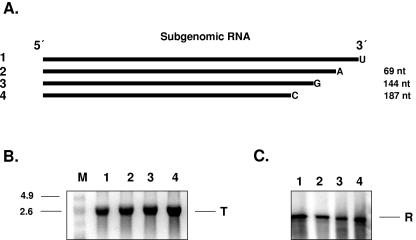 FIG. 9.