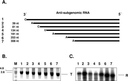 FIG. 10.