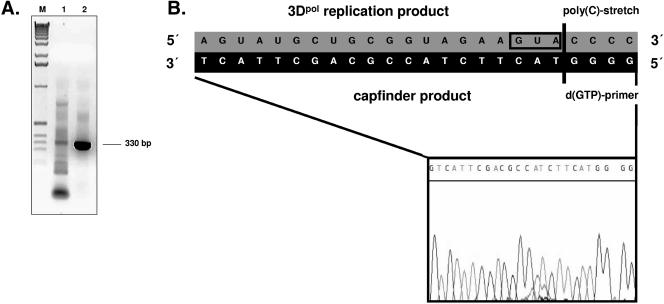 FIG. 7.