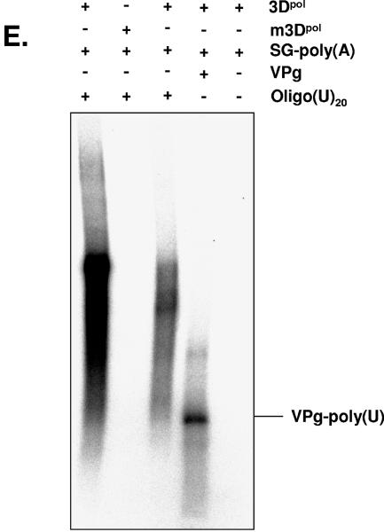 FIG. 5.