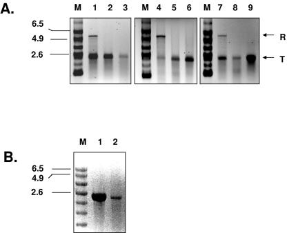 FIG. 8.