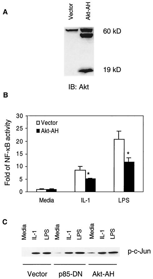 FIG. 6.