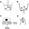Fig. (2)