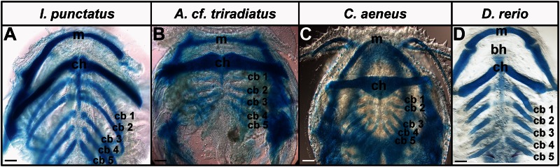 Fig. 4.